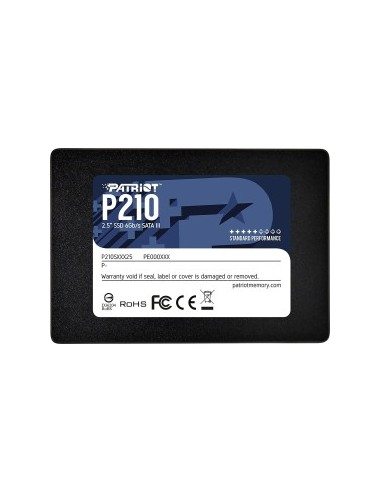 P210 256GB SSD