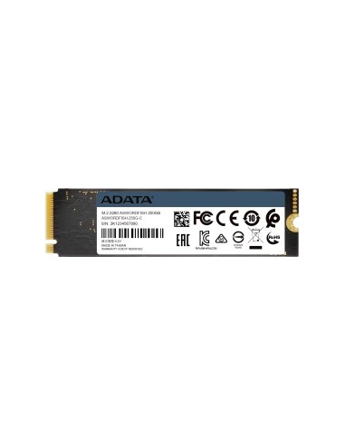 SWORDFISH 250 GB SSD