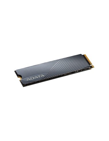 SWORDFISH 250 GB SSD