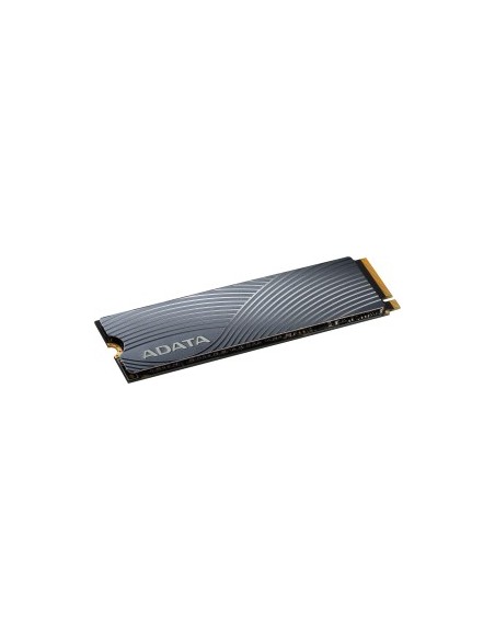 SWORDFISH 250 GB SSD
