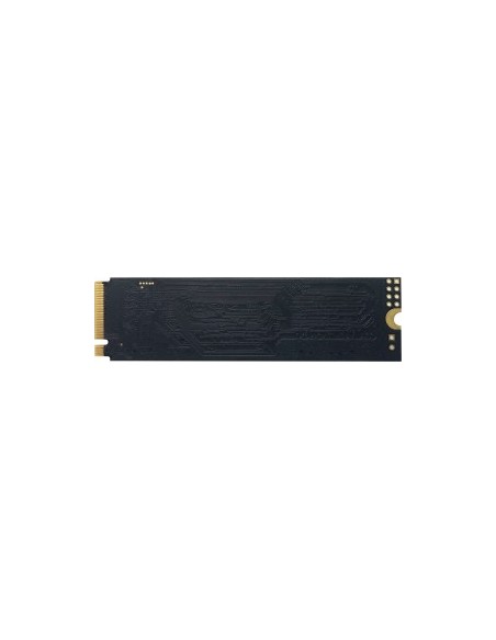 P300 128 GB SSD
