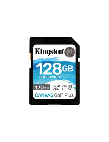 Canvas Go! Plus 128GB SDXC, Memory Card