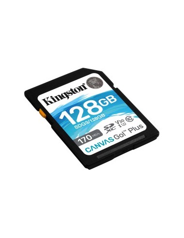 Canvas Go! Plus 128GB SDXC, Memory Card
