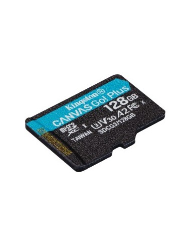 Canvas Go! Plus 128 GB microSDHC, Memory Card