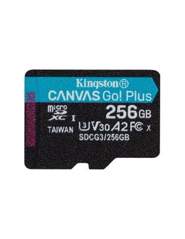 Canvas Go! Plus 256 GB microSDHC, Memory Card