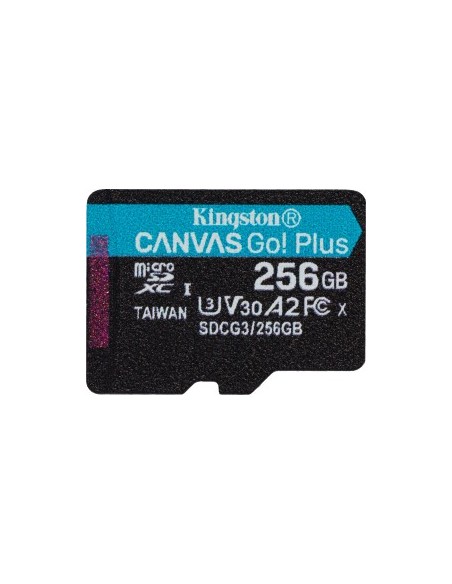 Canvas Go! Plus 256 GB microSDHC, Memory Card
