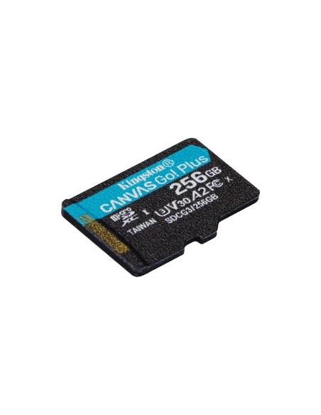 Canvas Go! Plus 256 GB microSDHC, Memory Card