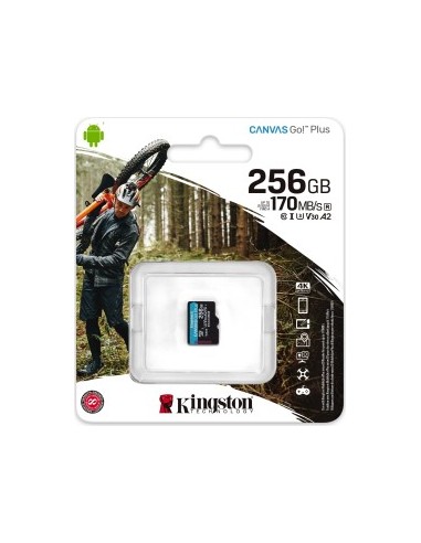 Canvas Go! Plus 256 GB microSDHC, Memory Card