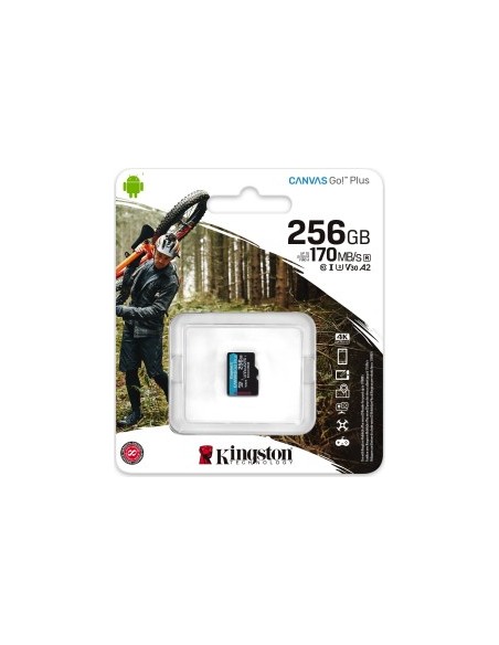 Canvas Go! Plus 256 GB microSDHC, Memory Card