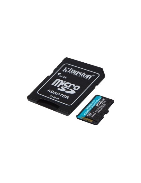 Canvas Go! Plus 256 GB microSDHC, Memory Card