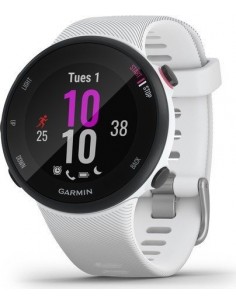 Garmin Forerunner 45S, SmartWatch (010-02156-10)