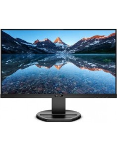 243B9 / 00 LED monitor