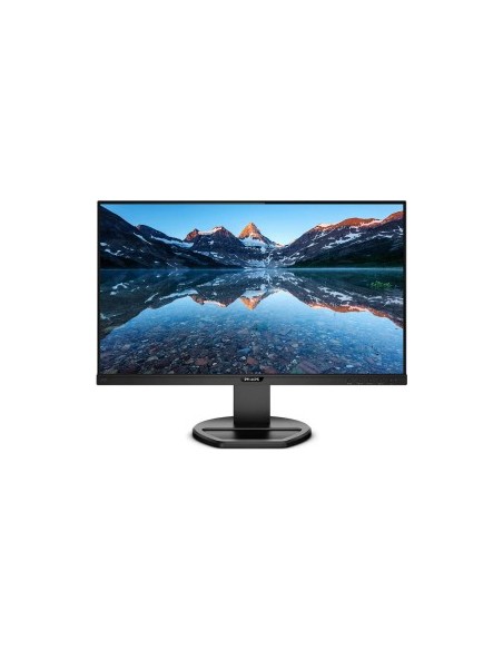 243B9 / 00 LED monitor