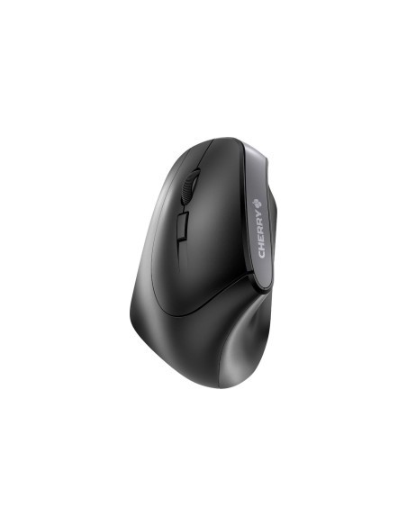 MW 4500 LEFT, mouse