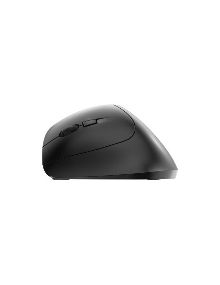 MW 4500 LEFT, mouse