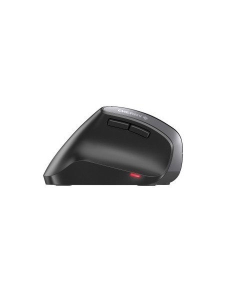 MW 4500 LEFT, mouse