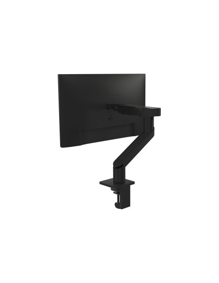 MSA20, monitor mount