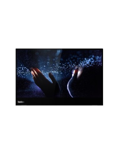 ThinkVision M14T, LED monitor