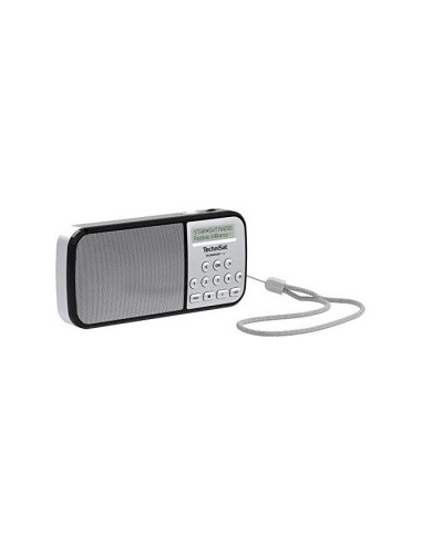 Technisat TechniRadio RDR silver