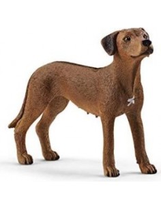 Schleich Farm World        13895 Rhodesian Ridgeback