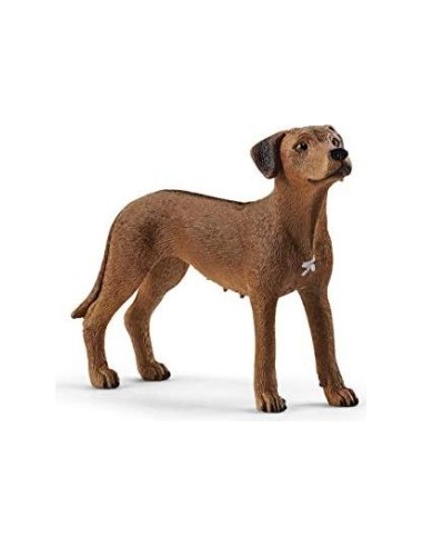 Schleich Farm World        13895 Rhodesian Ridgeback