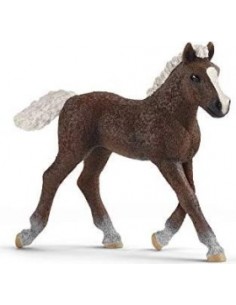 Schleich Farm World        13899 Black Forest Foal