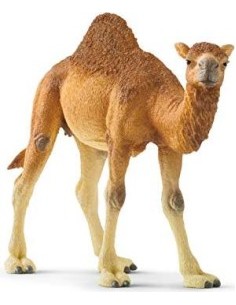 Schleich Wild Life       14832 Dromedary