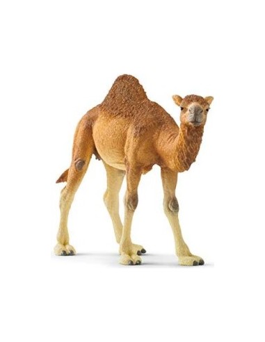 Schleich Wild Life       14832 Dromedary